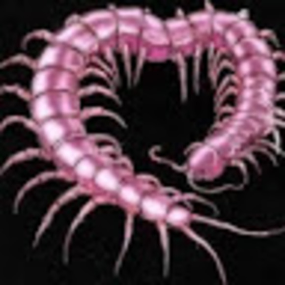 Meet your Posher, Lucy - Picture 1 of 1